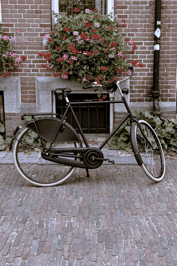 <p> </p>Amsterdam bikes